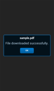 Sencha Touch application  device File success