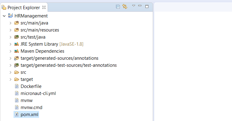 Micronaut project structure after importing into Eclipse