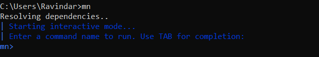 run the Micronaut CLI from the command prompt