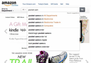 Amazon Search Bar - WalkingTree technologies