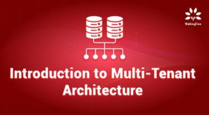 Introduction to Multi-Tenant Architecture