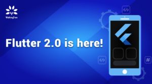 Flutter 2.0 is here!