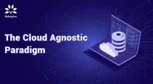 The Cloud Agnostic Paradigm