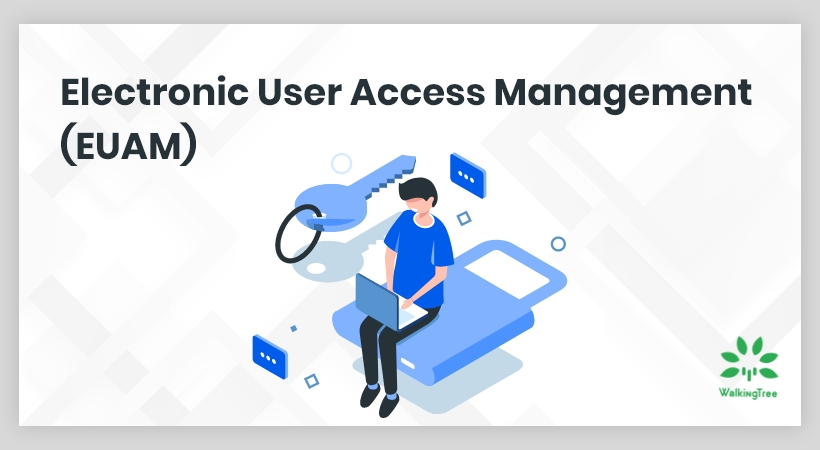 Advancing Business Workflow with Electronic User Access Management (EUAM)