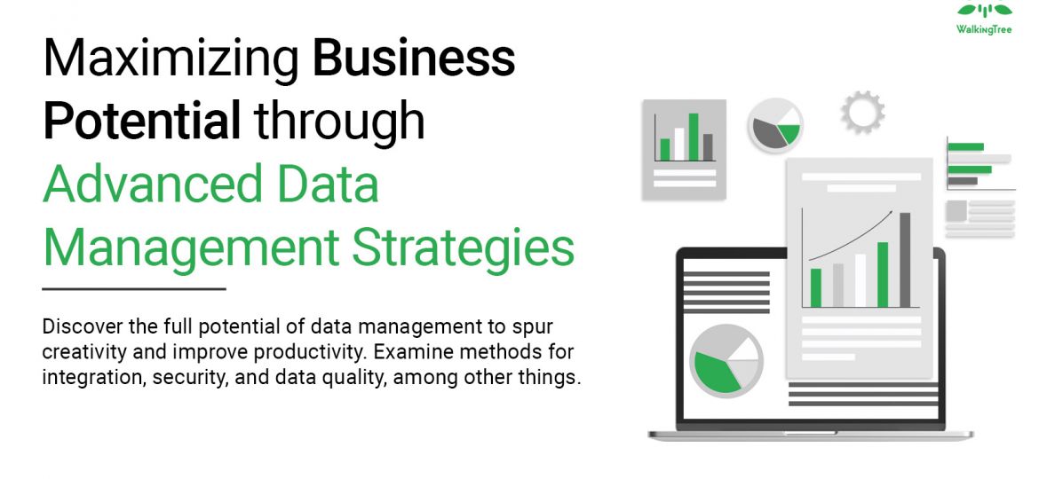 Maximizing Business Potential through Advanced Data Management Strategies